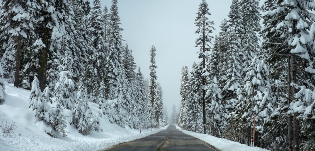 photo-1444136755757-b24e7e5c4cd5