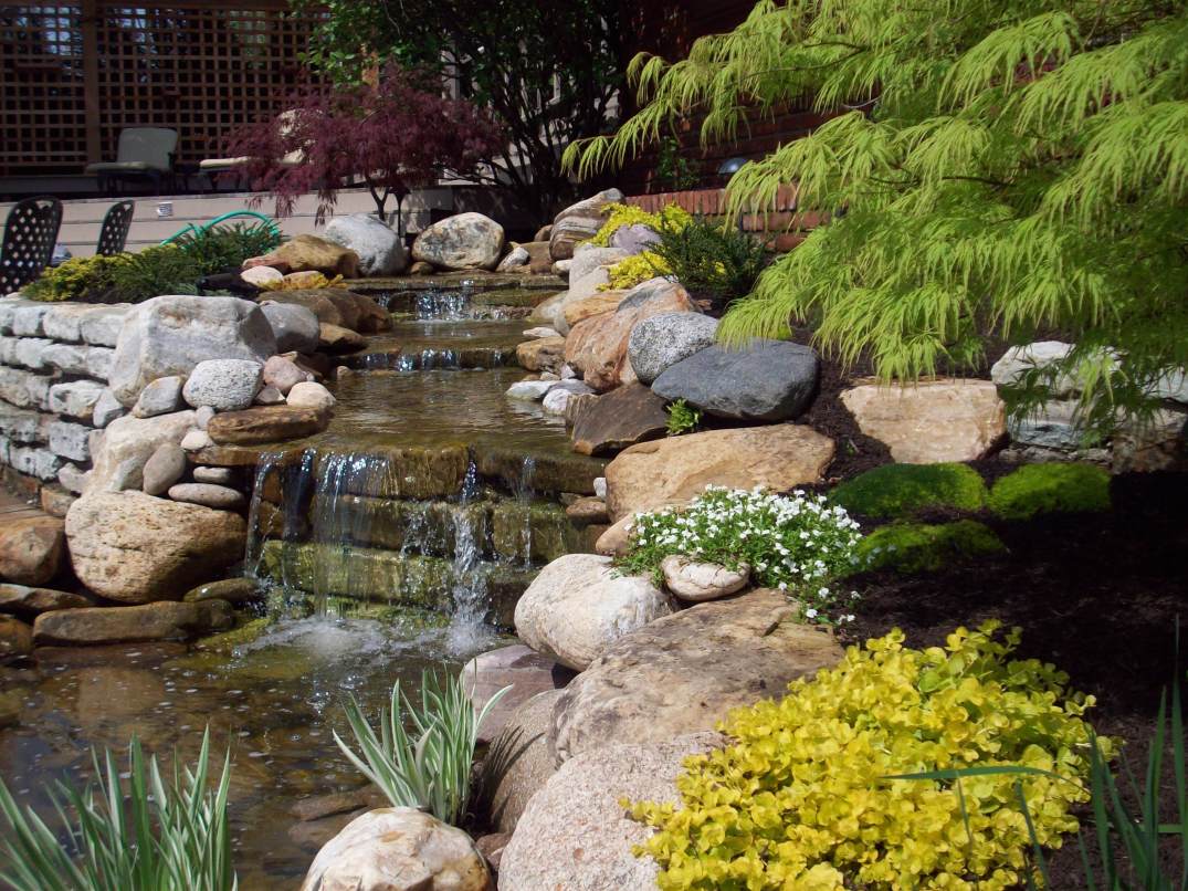 summer 2012 landscape pics 030.JPG