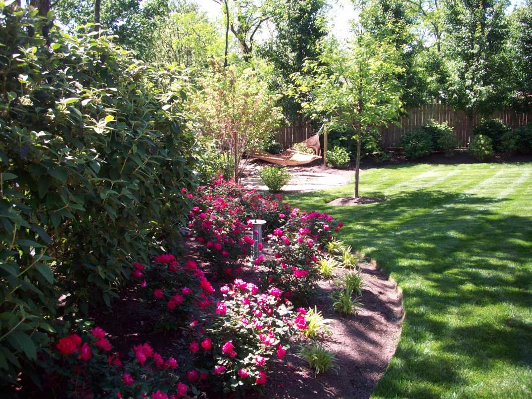 summer 2012 landscape pics 059.JPG